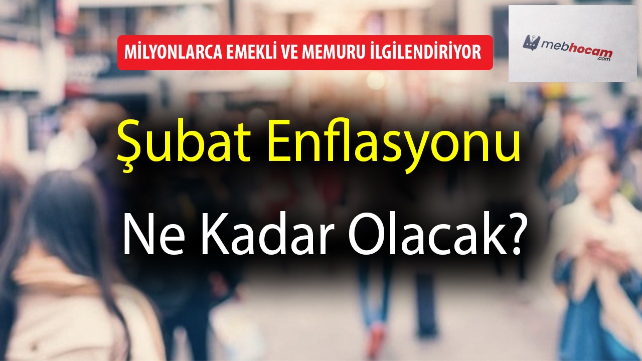 Şubat Enflasyonu Ne Kadar Olacak?