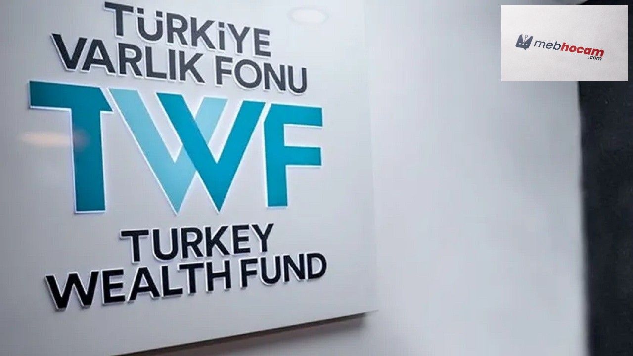 Türkiye Varlık Fonu'ndan büyük hamle! Ekonomik büyümeye destek sağlayacak: Büyük aktarım yapılıyor