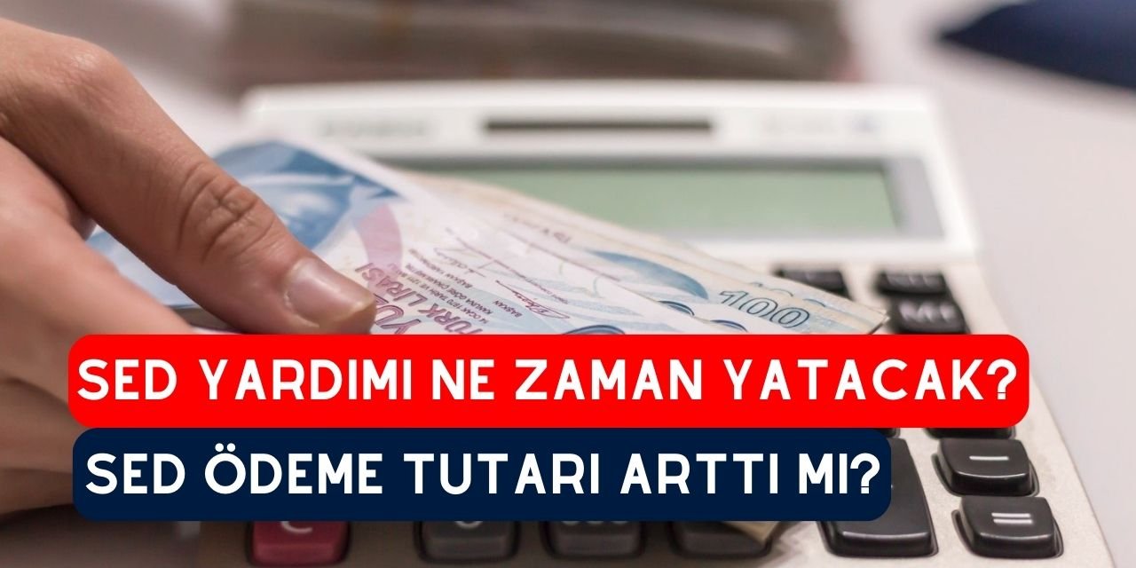 SED yardımı ne zaman yatacak, Şubat SED ödemeleri arttı mı, 2024 SED ödeme tutarı nedir?