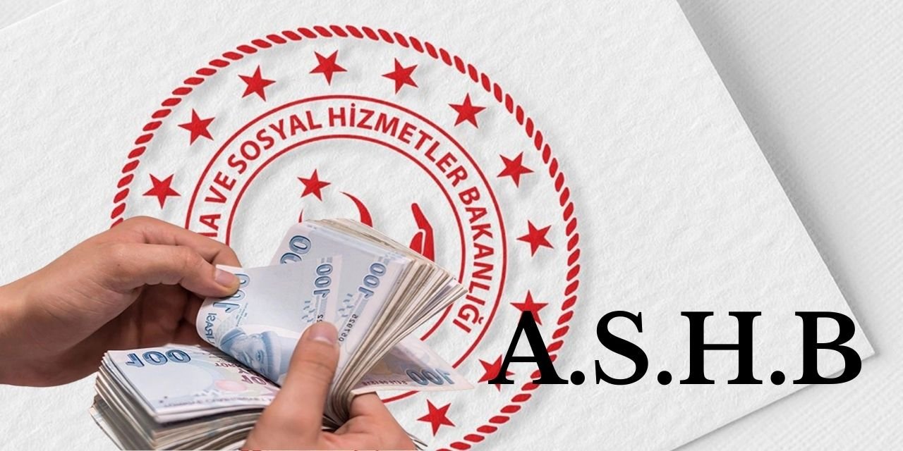 Aile ve Sosyal Hizmetler Bakanlığı'ndan tek seferlik yardım, başvurular e-Devlet platformu üzerinden alınacak