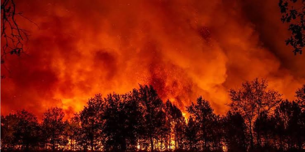 Orman Yangınlarında Terör Bağlantısı