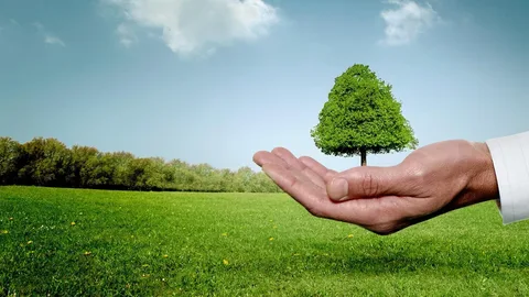 Bakanlık Tek Tek Açıkladı: Çevreyi Kirletenlere Rekor Ceza!