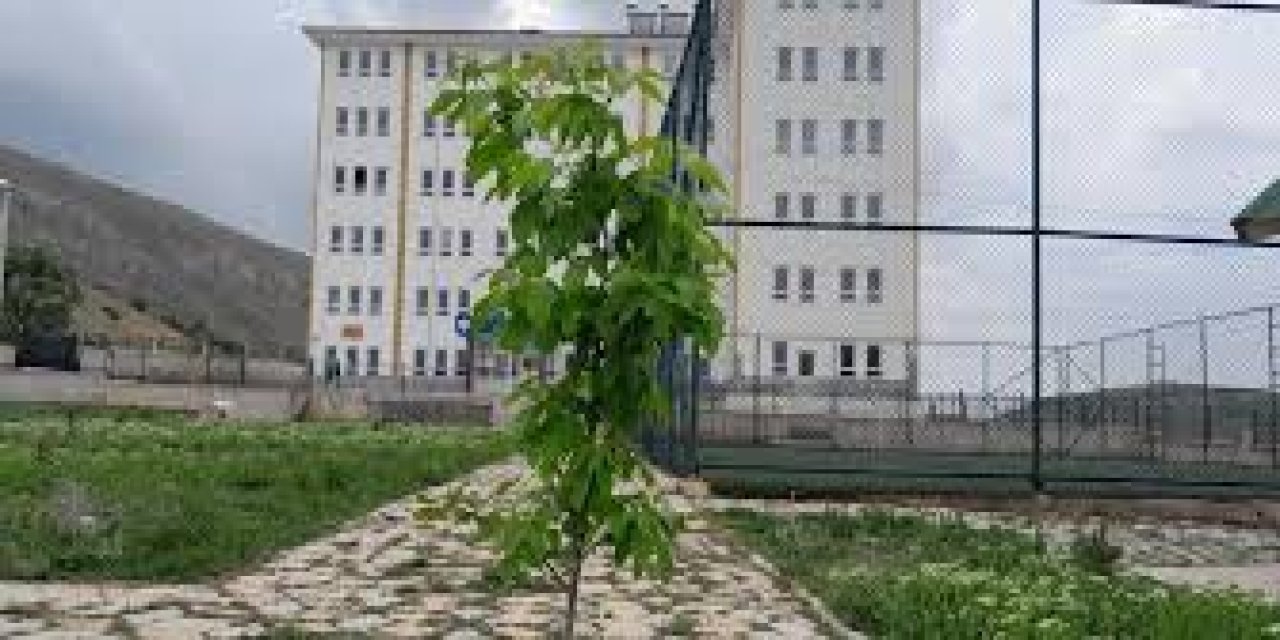 Valilik Okulda Yaşanan O Konu Hakkında Açıklamada Bulundu